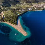 Balarin 볼