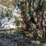 Balarin 빌라 볼