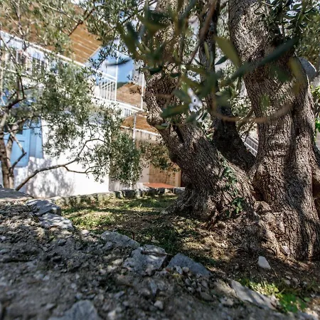 Balarin Villa Bol